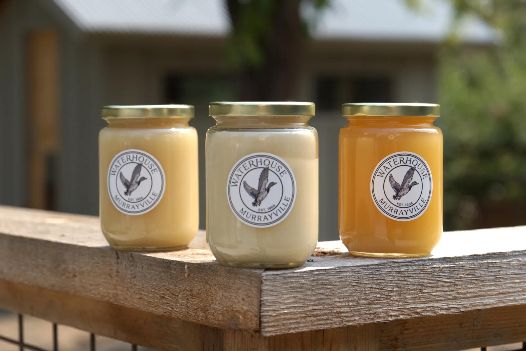 Three jars of wildflower honey on a weathered rail at Waterhouse Farm
